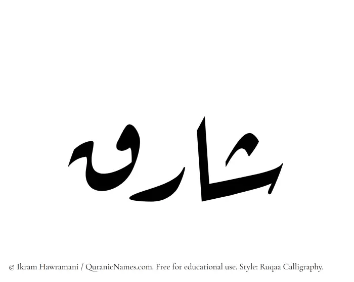 The Muslim name Shariq written in Ruqaa calligraphic script