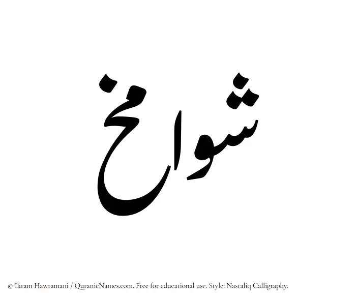 The Muslim name word Shawamikh written in Nastaliq calligraphic script