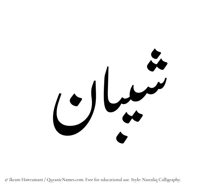 The Muslim name word Sheeban written in Nastaliq calligraphic script