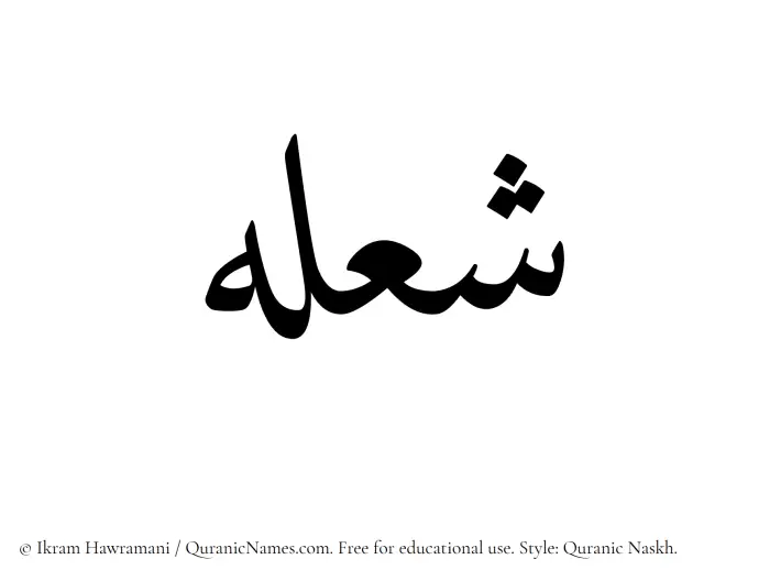 The Muslim name Shoulah written in Quranic naskh script