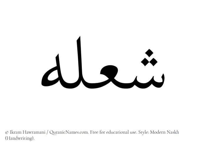 The Muslim name Shoulah written in naskh script