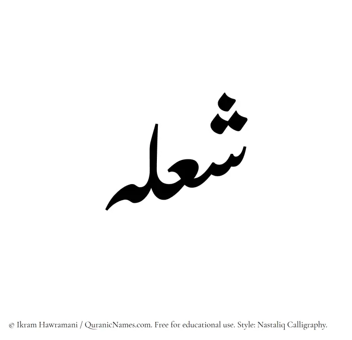 The Muslim name word Shoulah written in Nastaliq calligraphic script