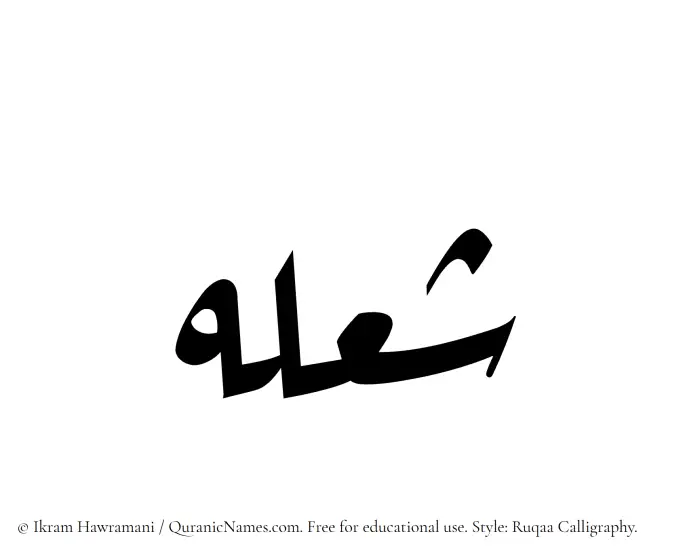 The Muslim name Shoulah written in Ruqaa calligraphic script