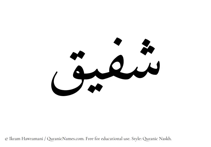 The Muslim name Shufaiq written in Quranic naskh script