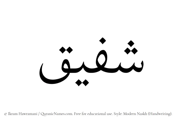 The Muslim name Shufaiq written in naskh script
