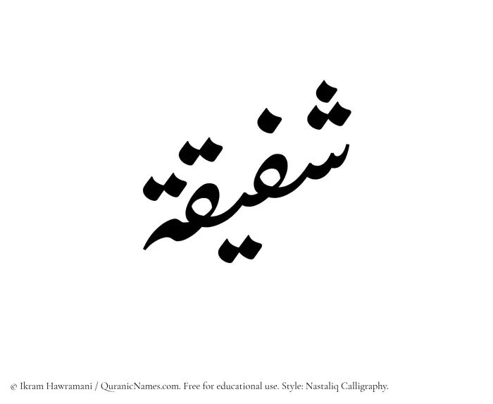 The Muslim name word Shufaiqah written in Nastaliq calligraphic script