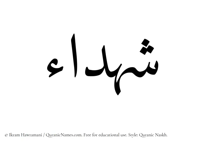 The Muslim name Shuhada written in Quranic naskh script