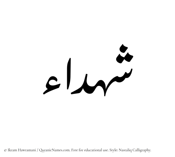 The Muslim name word Shuhada written in Nastaliq calligraphic script