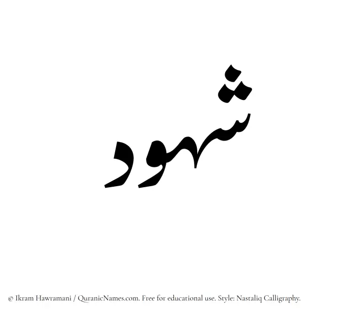 The Muslim name word Shuhud written in Nastaliq calligraphic script