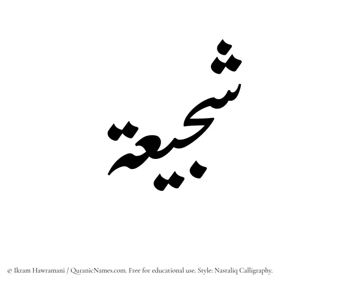 The Muslim name word Shujayaah written in Nastaliq calligraphic script