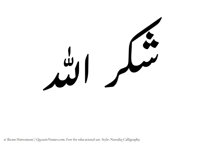 The Muslim name word Shukrullah written in Nastaliq calligraphic script