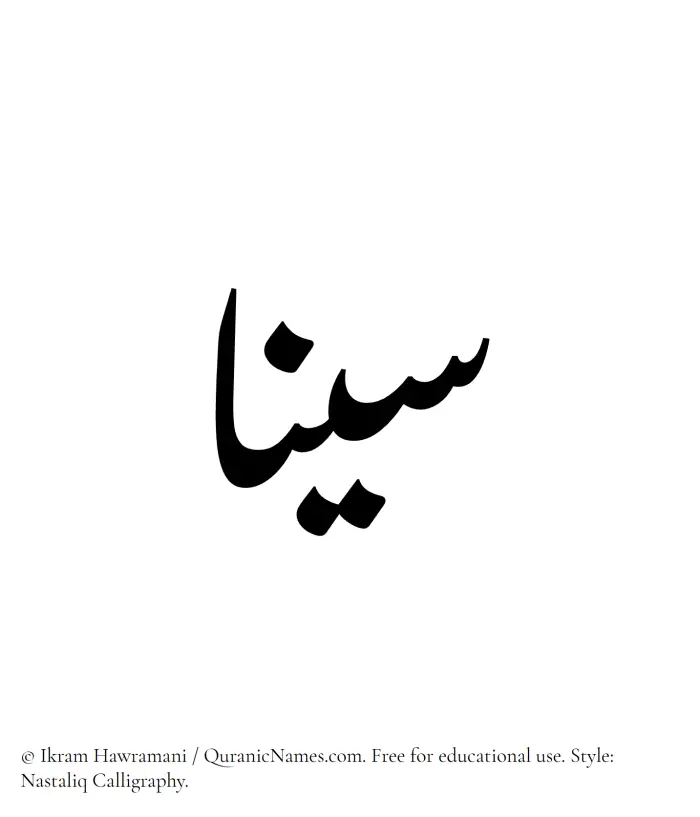 The Muslim name word Sina written in Nastaliq calligraphic script
