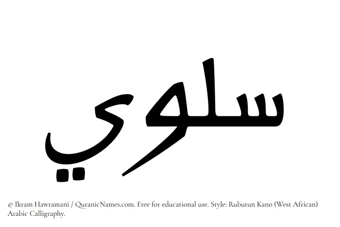 The Muslim name Solwi written in Rubutun Kano calligraphic script