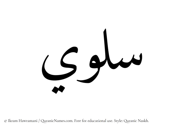 The Muslim name Solwi written in Quranic naskh script