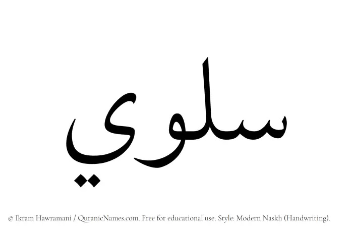 The Muslim name Solwi written in naskh script