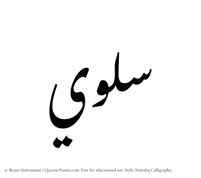 The Muslim name word Solwi written in Nastaliq calligraphic script