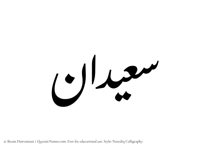 The Muslim name word Suaidan written in Nastaliq calligraphic script