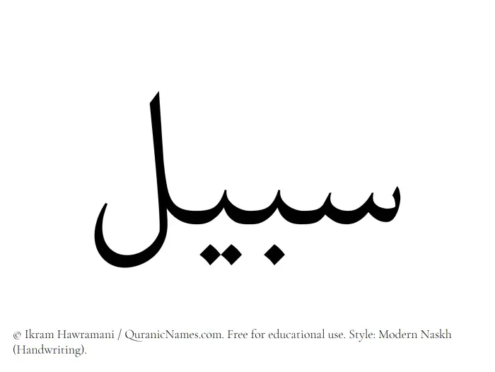 The Muslim name Subail written in naskh script