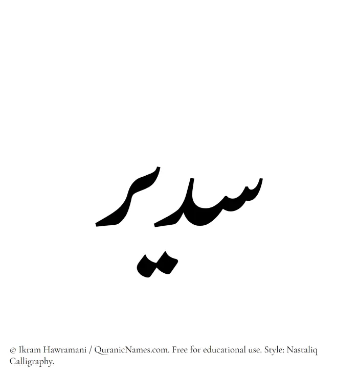 The Muslim name word Sudair written in Nastaliq calligraphic script
