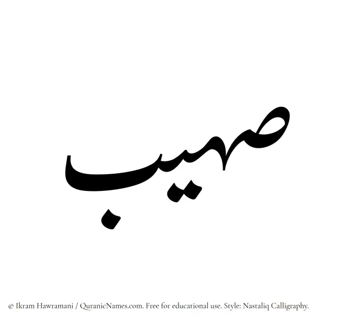 The Muslim name word Suhaib written in Nastaliq calligraphic script