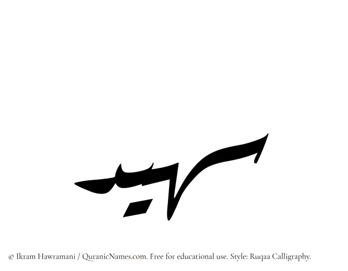 The Muslim name Suhaid written in Ruqaa calligraphic script
