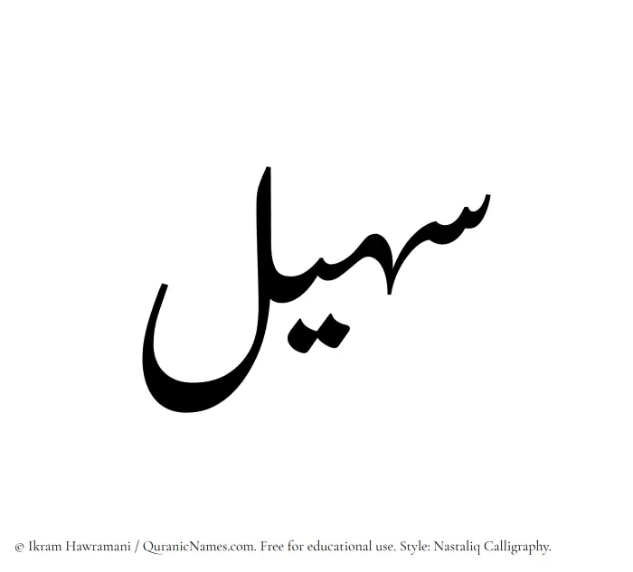The Muslim name word Suhail written in Nastaliq calligraphic script