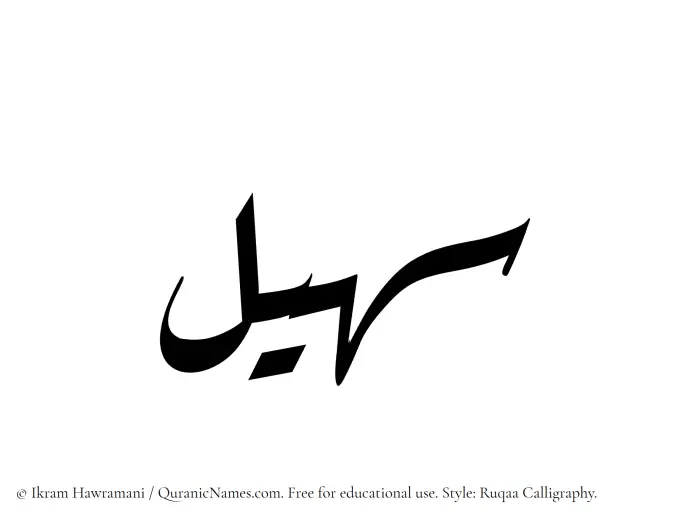 The Muslim name Suhail written in Ruqaa calligraphic script