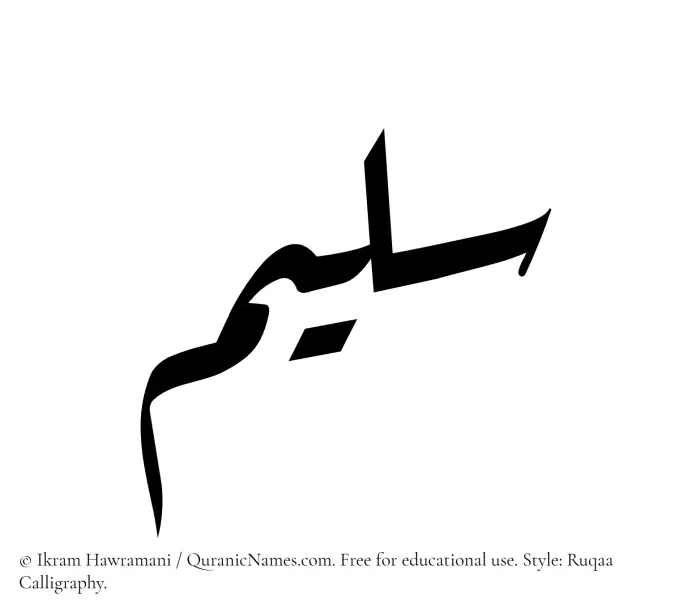 The Muslim name Sulaim written in Ruqaa calligraphic script