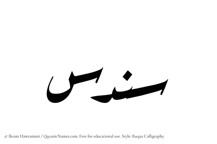 The Muslim name Sundus written in Ruqaa calligraphic script