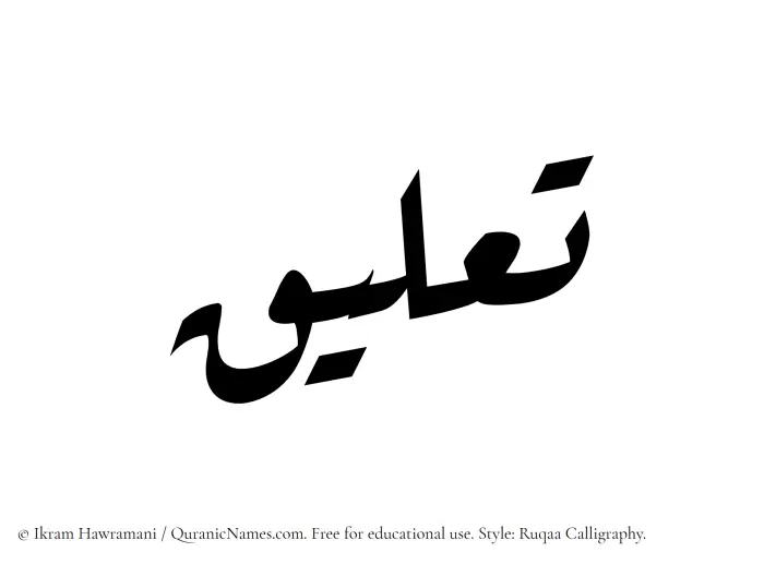The Muslim name Taaliq written in Ruqaa calligraphic script