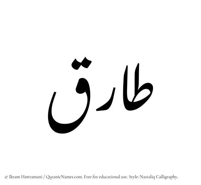 The Muslim name word Taariq written in Nastaliq calligraphic script