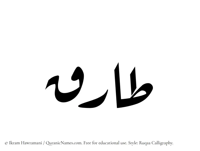 The Muslim name Taariq written in Ruqaa calligraphic script