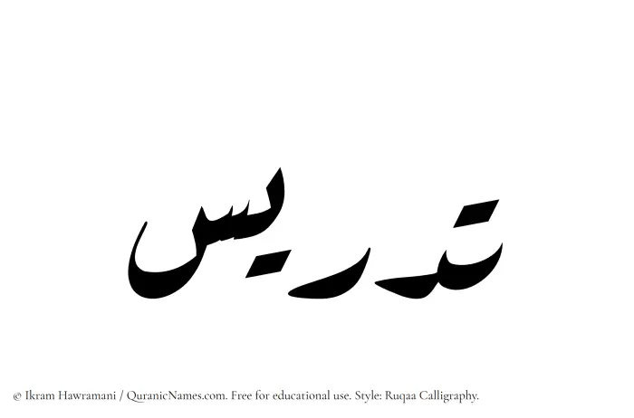 The Muslim name Tadris written in Ruqaa calligraphic script