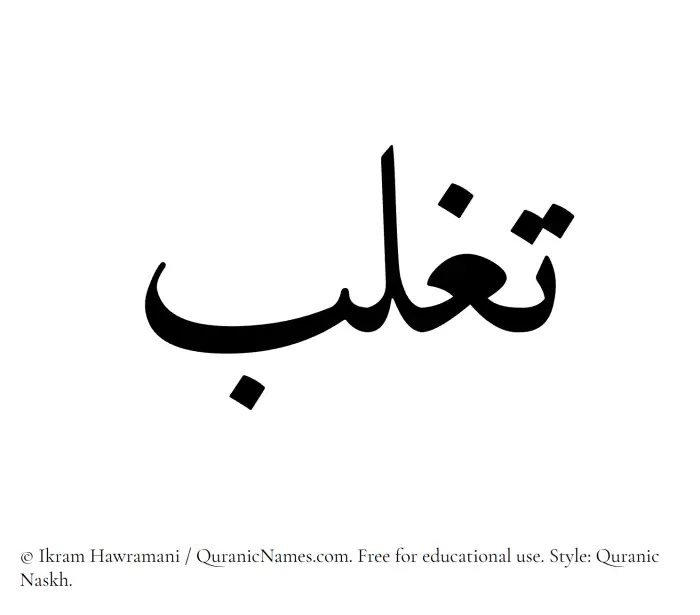 The Muslim name Taghlib written in Quranic naskh script