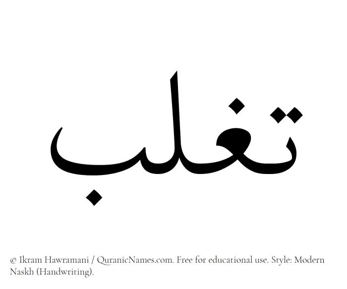 The Muslim name Taghlib written in naskh script