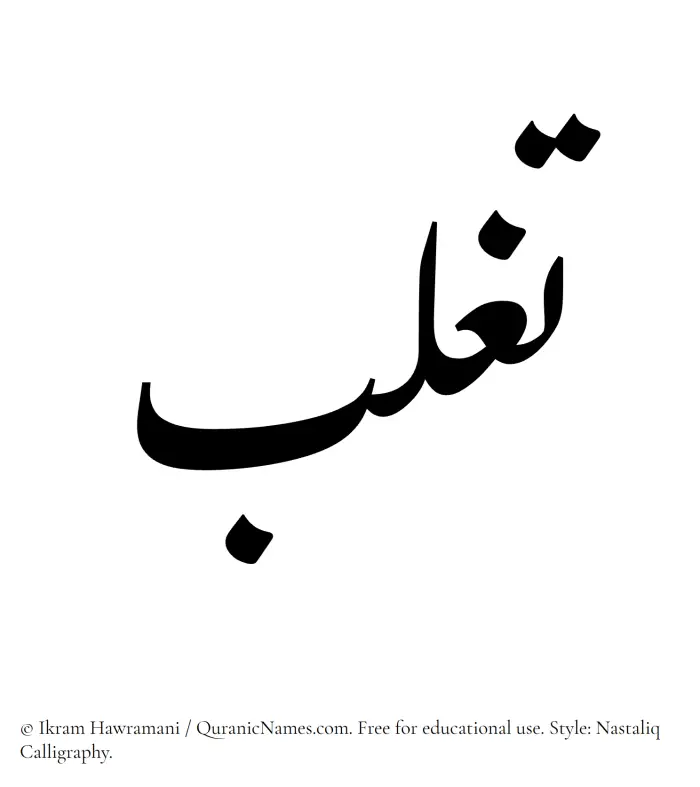 The Muslim name word Taghlib written in Nastaliq calligraphic script