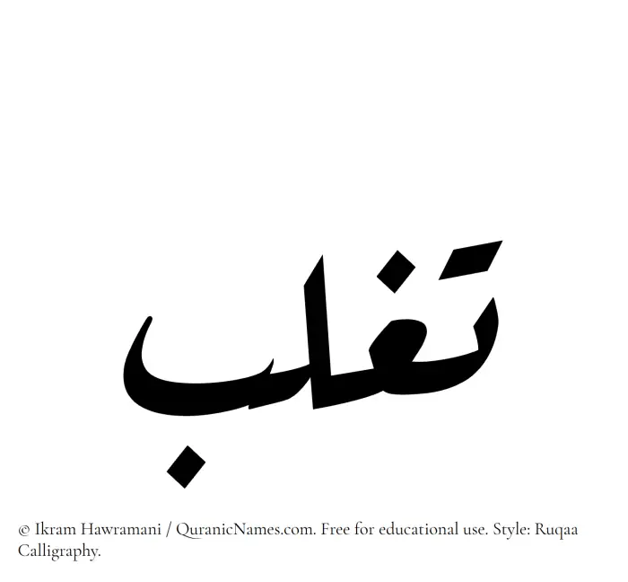 The Muslim name Taghlib written in Ruqaa calligraphic script