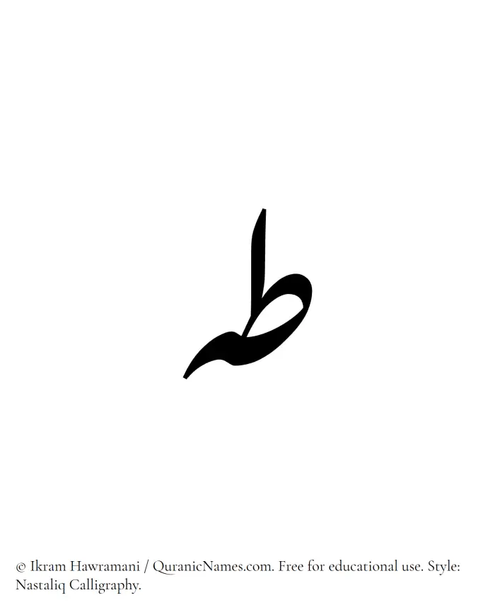 The Muslim name word Taha written in Nastaliq calligraphic script