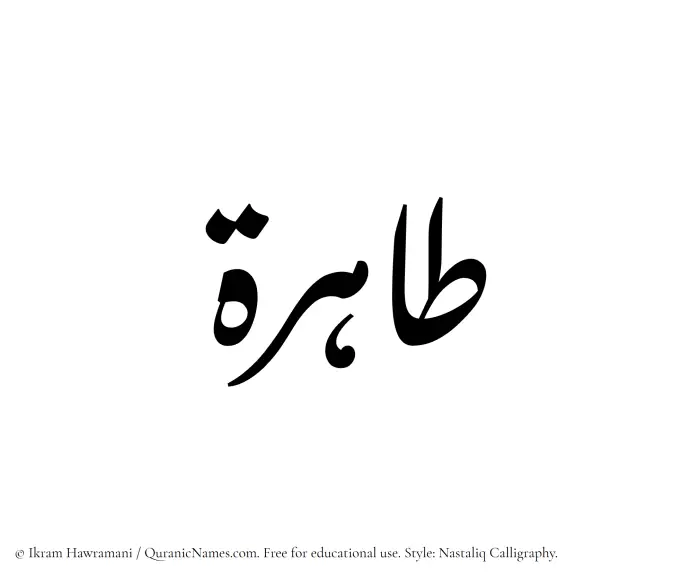 The Muslim name word Tahira written in Nastaliq calligraphic script