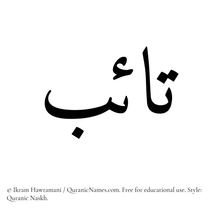 The Muslim name Taib written in Quranic naskh script