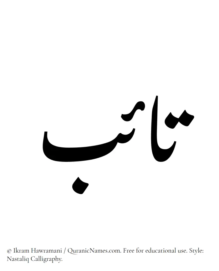 The Muslim name word Taib written in Nastaliq calligraphic script