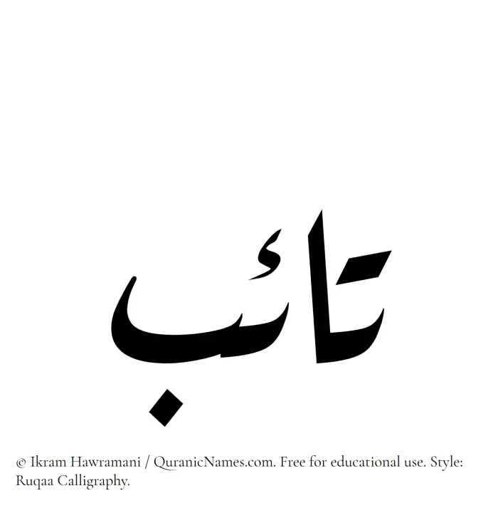The Muslim name Taib written in Ruqaa calligraphic script