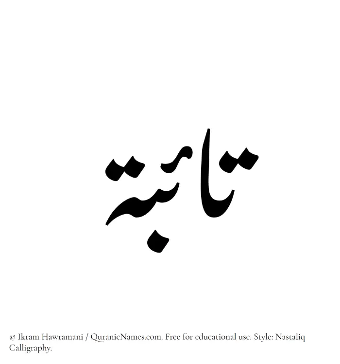 The Muslim name word Taiba (Taebah) written in Nastaliq calligraphic script