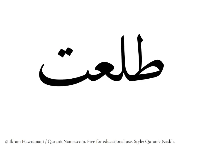 The Muslim name Talaat written in Quranic naskh script