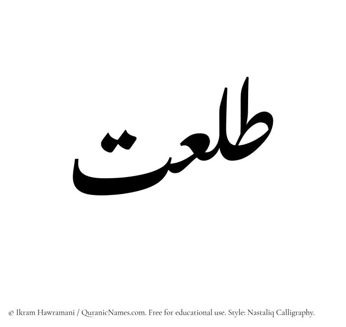 The Muslim name word Talaat written in Nastaliq calligraphic script