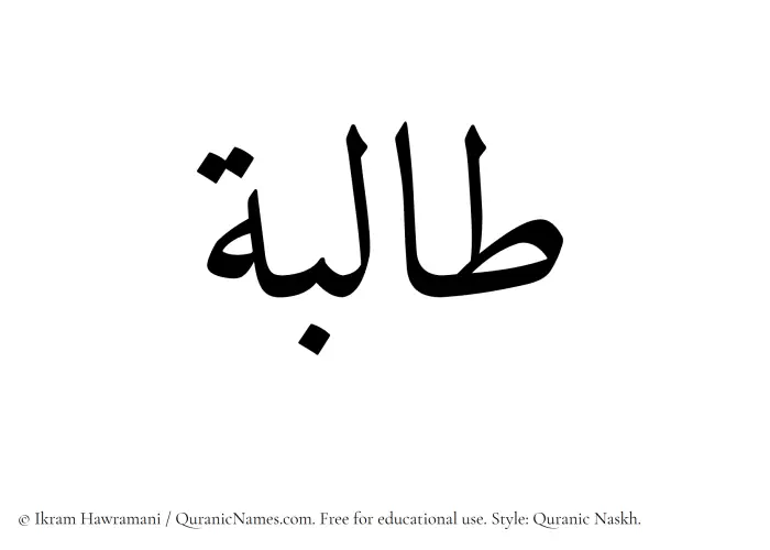 The Muslim name Talibah written in Quranic naskh script