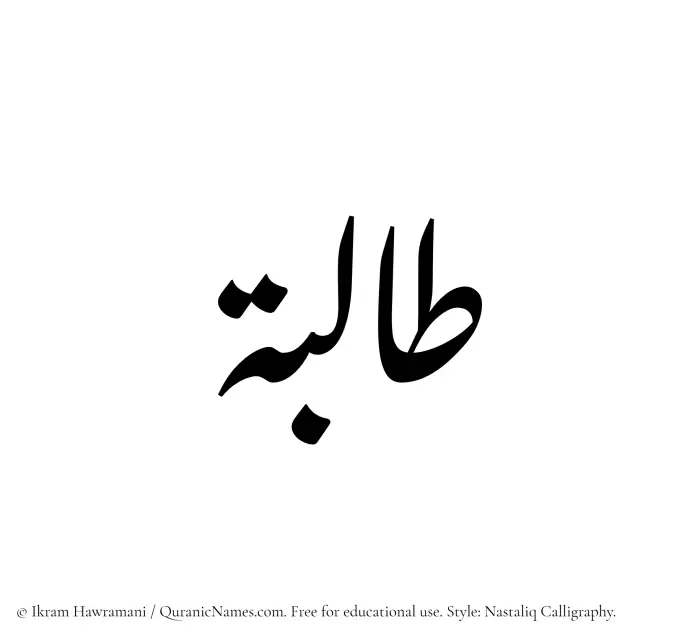 The Muslim name word Talibah written in Nastaliq calligraphic script