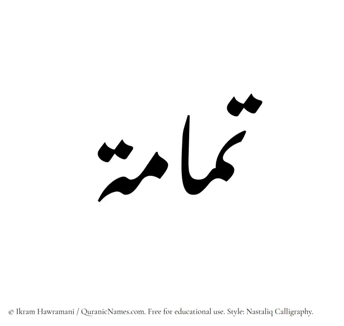 The Muslim name word Tammamah written in Nastaliq calligraphic script