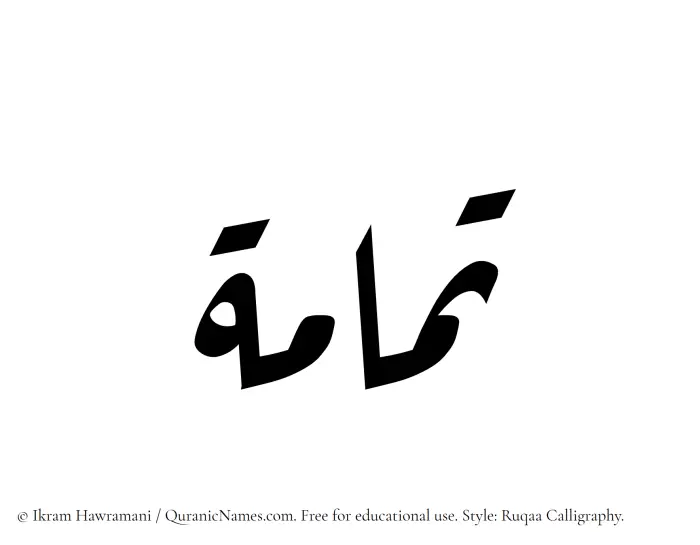 The Muslim name Tammamah written in Ruqaa calligraphic script