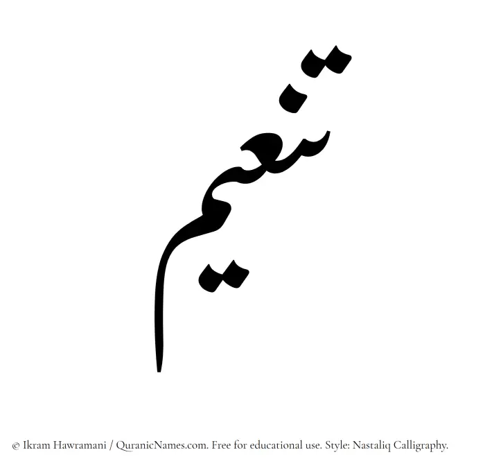 The Muslim name word Taneem written in Nastaliq calligraphic script